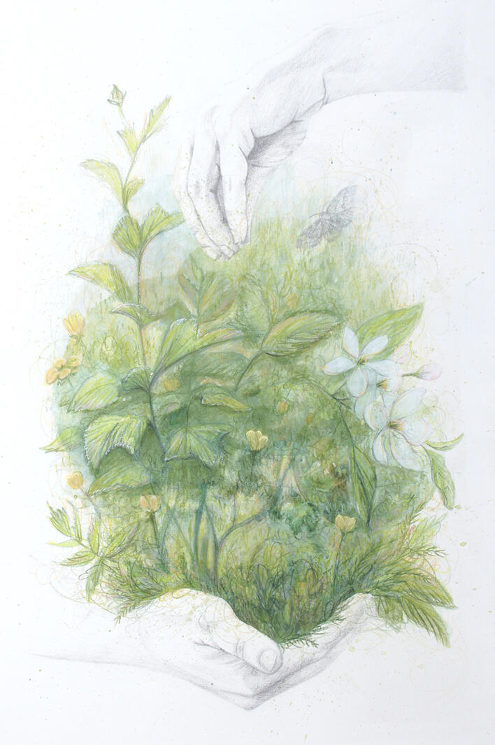 Eleanor Clagett, "Give & Take", 2025, graphite, watercolor, colored pencil, and acrylic on paper